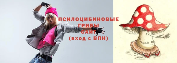 Альфа ПВП Арсеньев