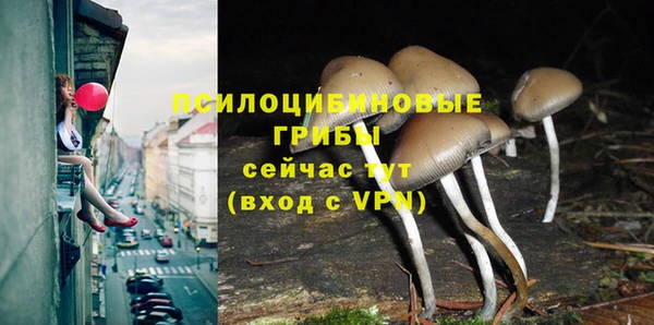 Альфа ПВП Арсеньев