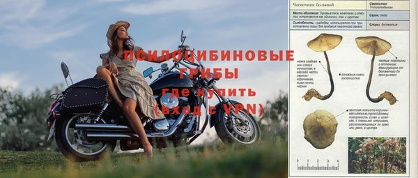 мет Аркадак
