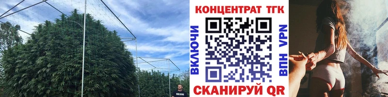 даркнет состав  хочу   Канаш  Дистиллят ТГК THC oil  OMG онион 