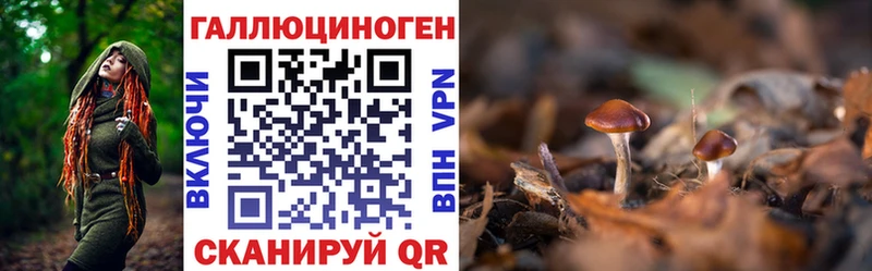 Галлюциногенные грибы GOLDEN TEACHER купить наркоту Канаш